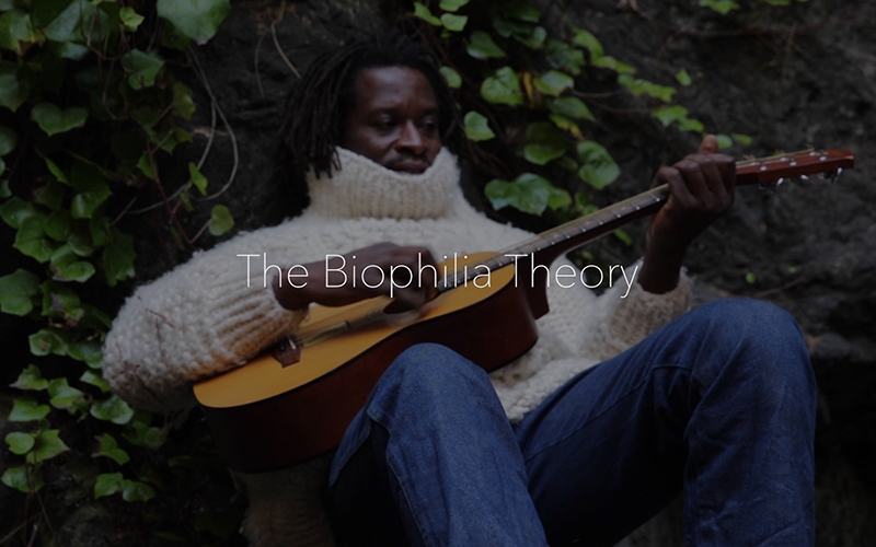 The Biophilia Theory — Title Edit